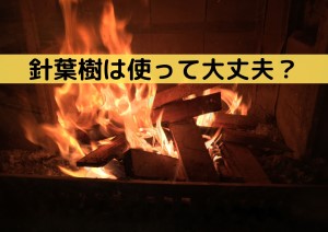 広葉樹と針葉樹の薪燃料としての特徴は 針葉樹は薪ストーブに使用してokなの 薪ストーブノート