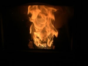 ハーマンのペレットストーブの炎